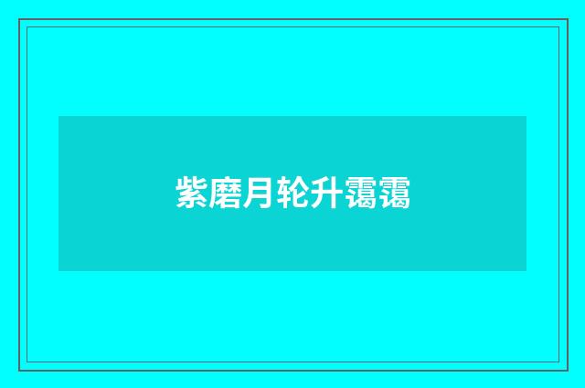 紫磨月轮升霭霭