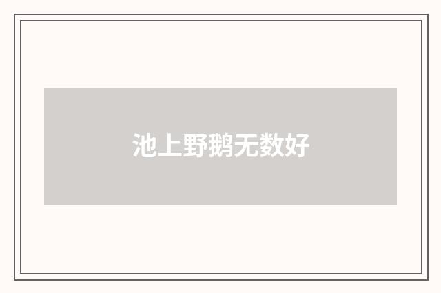 池上野鹅无数好
