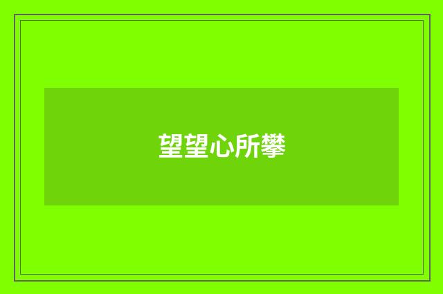 望望心所攀