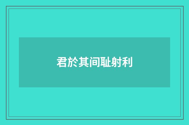 君於其间耻射利