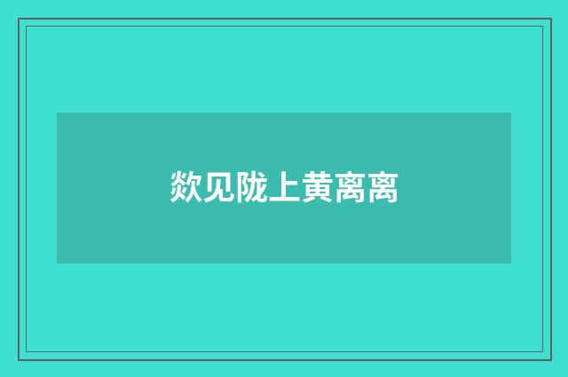 欻见陇上黄离离