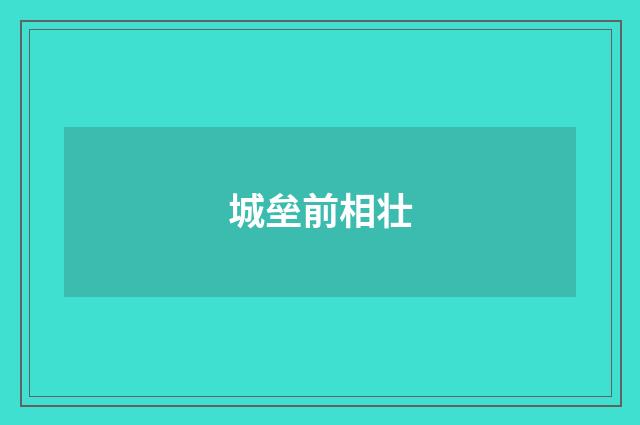 城垒前相壮