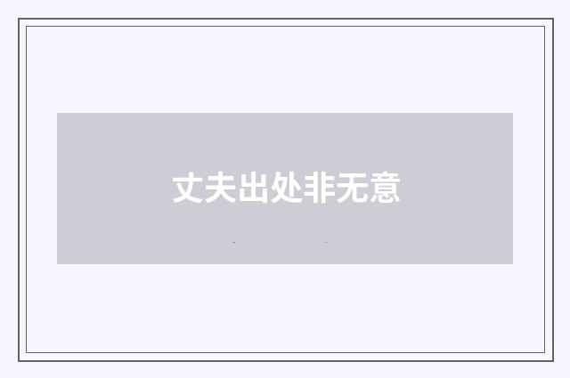 丈夫出处非无意