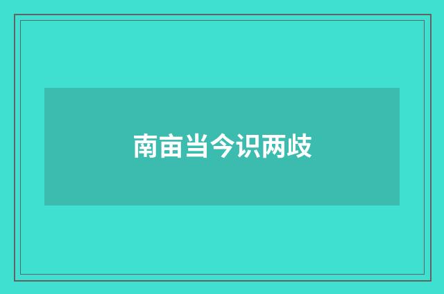 南亩当今识两歧