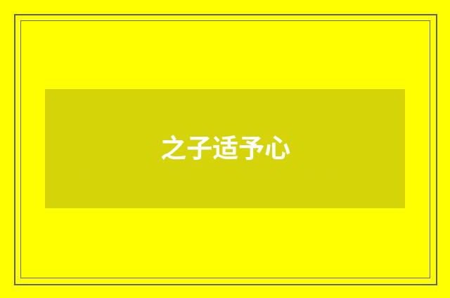 之子适予心