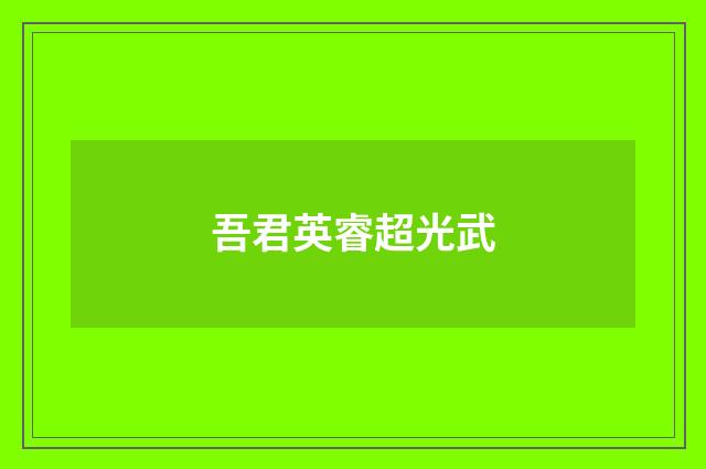 吾君英睿超光武