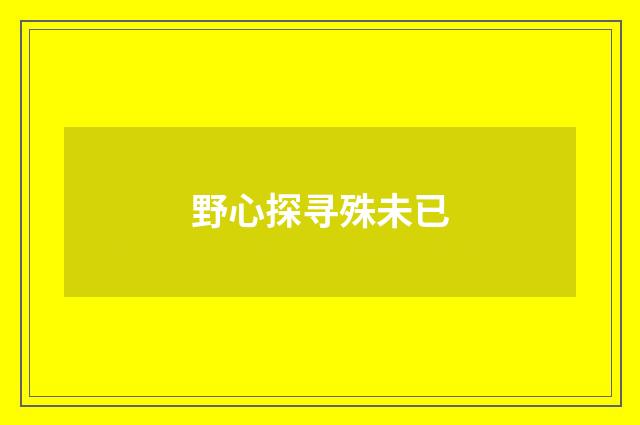 野心探寻殊未已