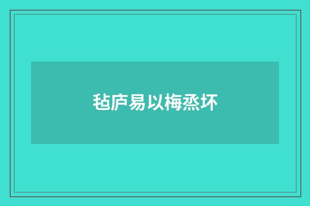 毡庐易以梅烝坏