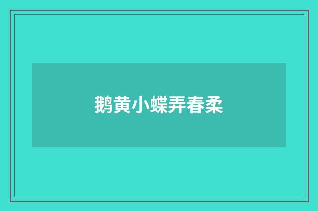 鹅黄小蝶弄春柔