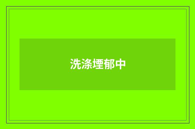 洗涤堙郁中