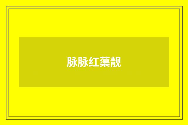 脉脉红蕖靓