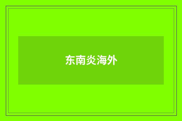 东南炎海外