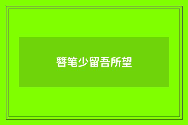 簪笔少留吾所望