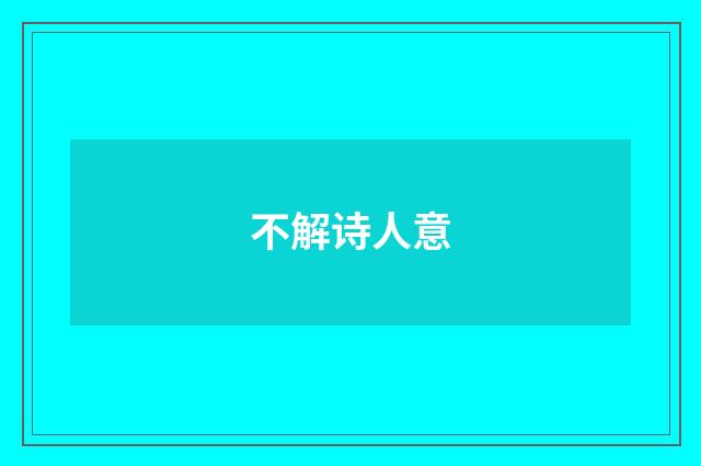 不解诗人意