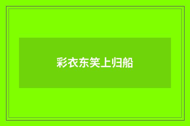 彩衣东笑上归船