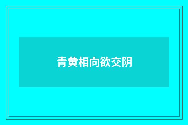 青黄相向欲交阴