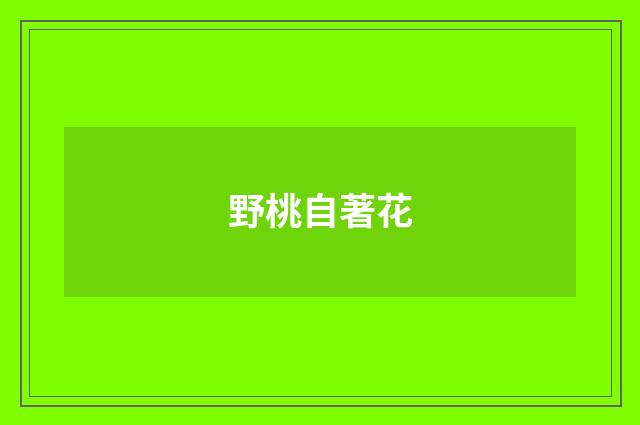 野桃自著花