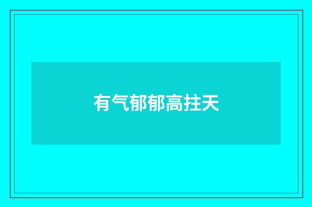 有气郁郁高拄天