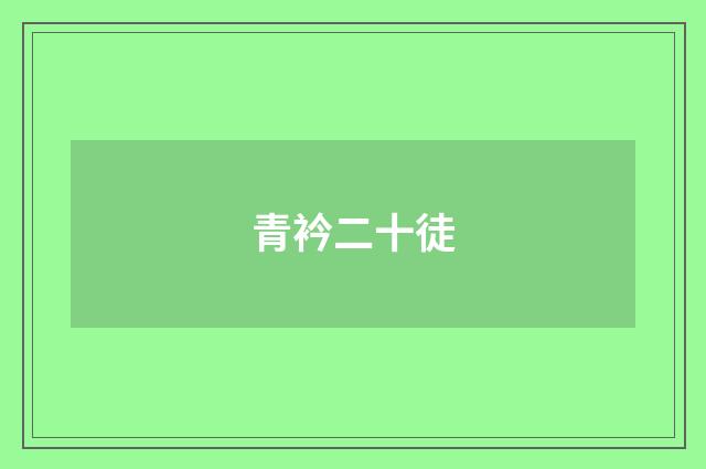青衿二十徒