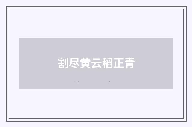 割尽黄云稻正青