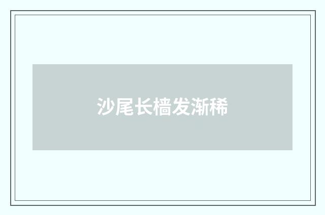 沙尾长樯发渐稀