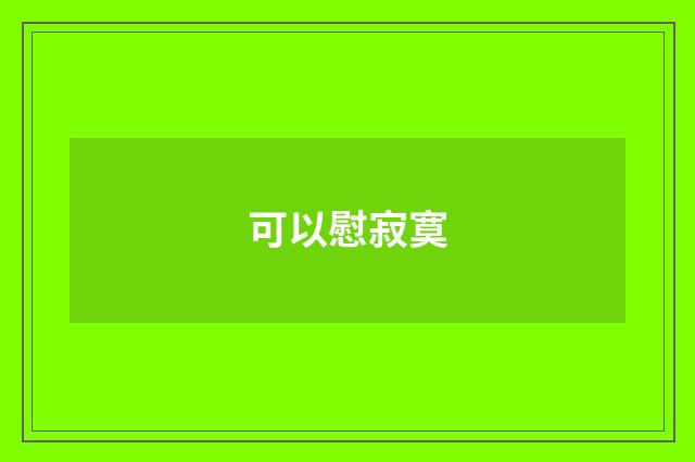 可以慰寂寞
