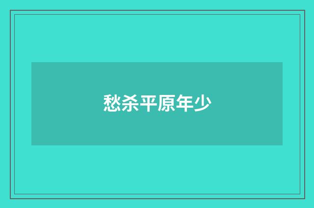 愁杀平原年少