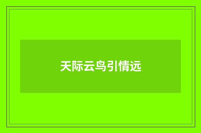 天际云鸟引情远