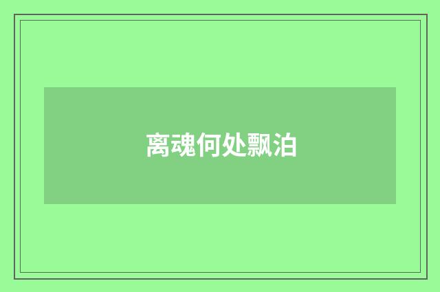 离魂何处飘泊