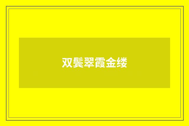 双鬓翠霞金缕