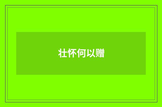壮怀何以赠