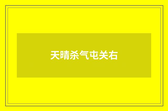 天晴杀气屯关右