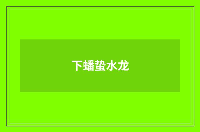 下蟠蛰水龙
