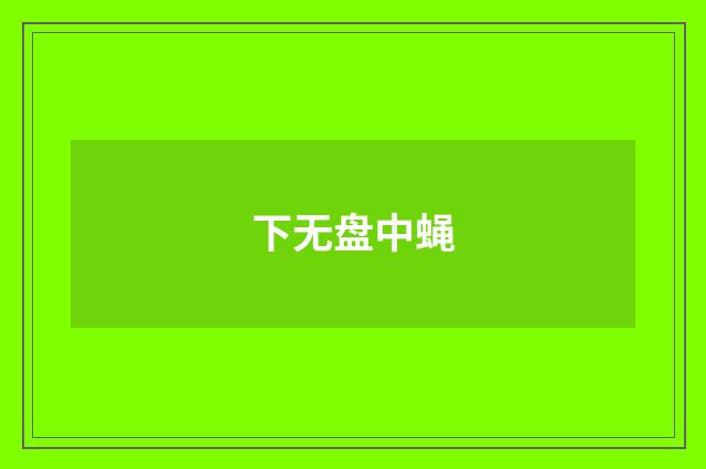 下无盘中蝇