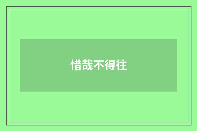 惜哉不得往