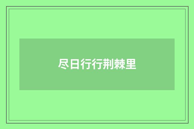 尽日行行荆棘里