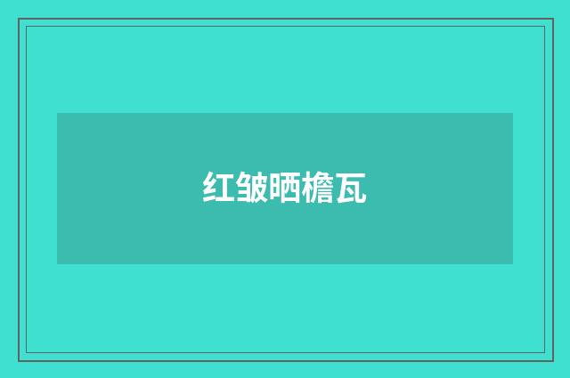 红皱晒檐瓦