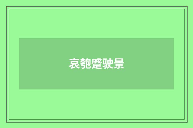 哀匏蹙驶景