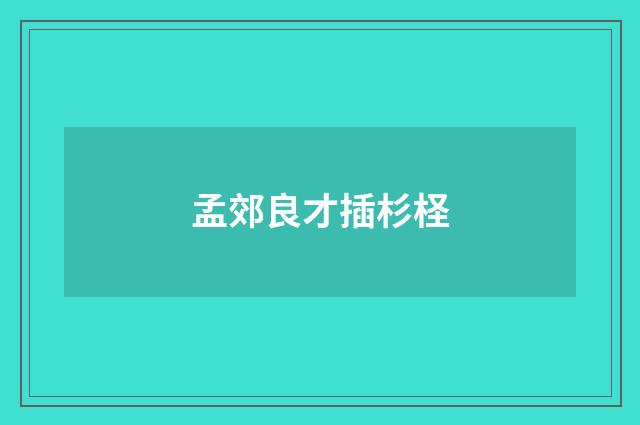 孟郊良才插杉柽