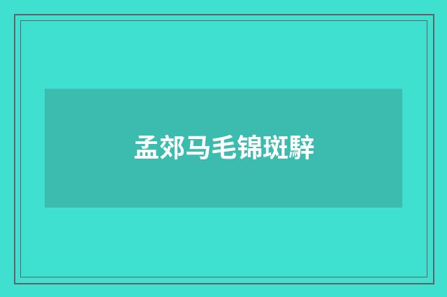 孟郊马毛锦斑騂