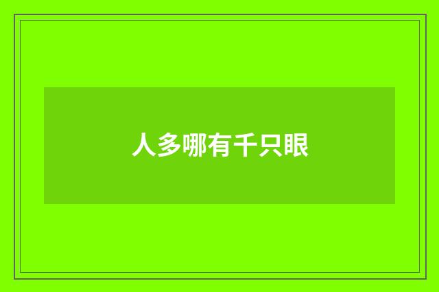 人多哪有千只眼