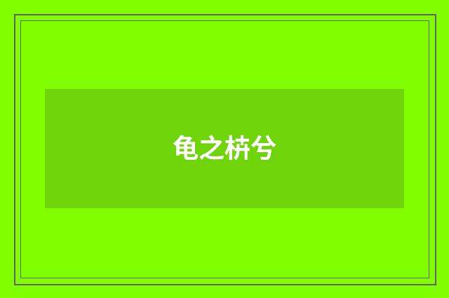 龟之枿兮