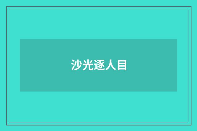 沙光逐人目