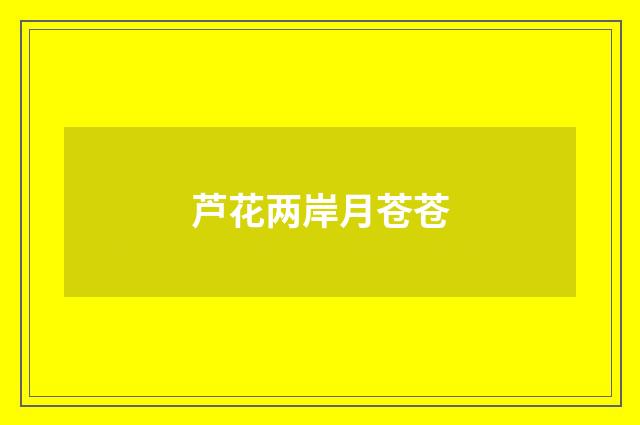 芦花两岸月苍苍