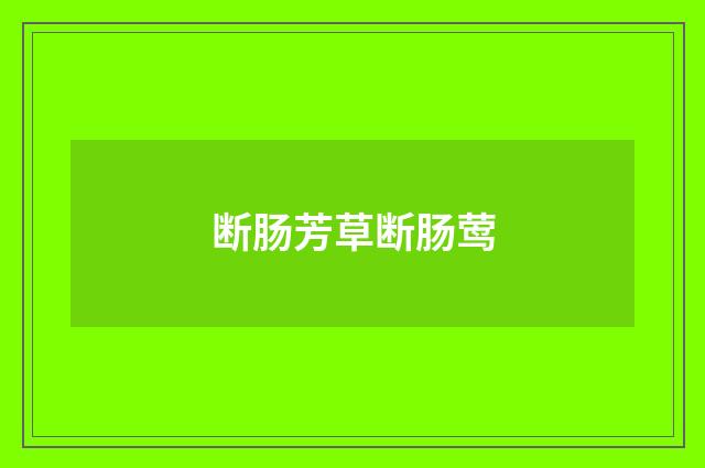 断肠芳草断肠莺