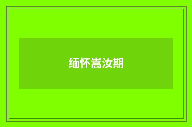 缅怀嵩汝期