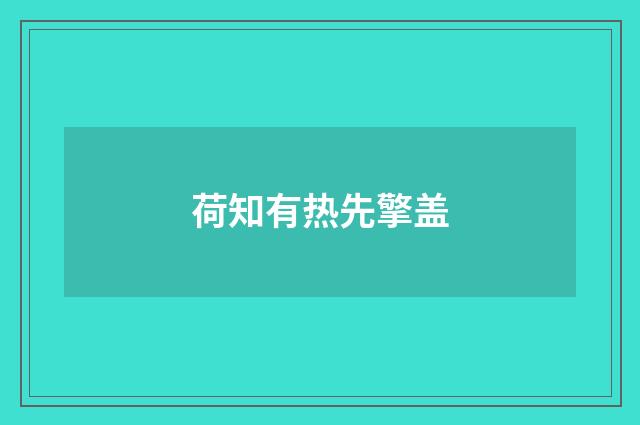 荷知有热先擎盖