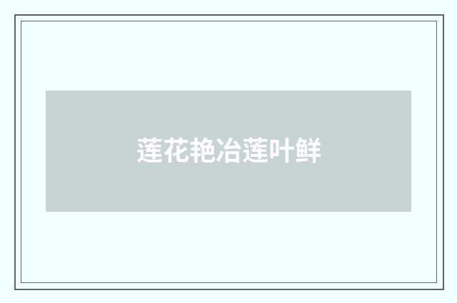 莲花艳冶莲叶鲜