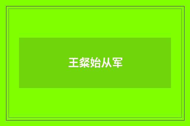 王粲始从军