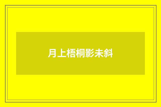 月上梧桐影未斜
